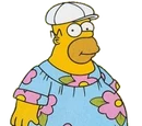 Homer Muumuu