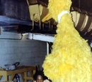 Lionel Douglass