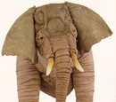 Episode 304: Indian Elephant & Human