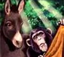 Ape