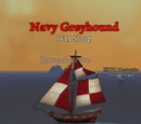 Navy Greyhound