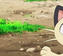 Team Rocket's Meowth