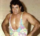 Gypsy Joe
