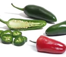 Jalapeño pepper