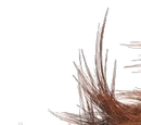 Rumpelstiltskin