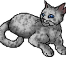 Ashfur (TC)
