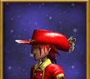 Swashbuckler Hat