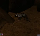 Easter Eggs (Morrowind)
