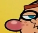 Bob the Boil