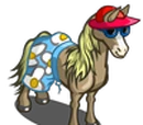 Summer Horse