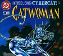 Catwoman Vol 2 42