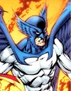 BlueJay 001.jpg