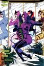 Catwoman 0088.jpg