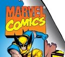 X-Men Unlimited Vol 1 17