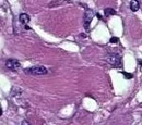Pathology Resident Wiki