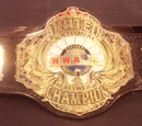 NWA United National Heavyweight Championship