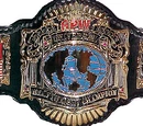 APW Universal Heavyweight Championship