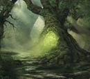 Elf, Variant (4e Race)