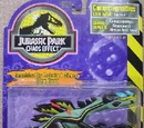 Compstegnathus