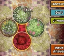 Puzzle:Flower Bed Fun