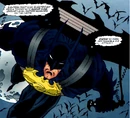 Bat-Glider 0001.jpg