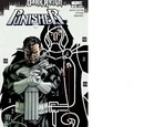 Punisher Vol 8 2