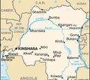 Congolese Cuisine