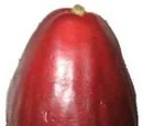 Ambarella