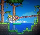 Dragon Snatcher