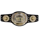 WEW Titan Championship