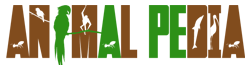 Wiki Animalpedia