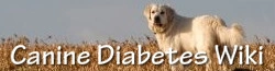 Canine Diabetes Wiki