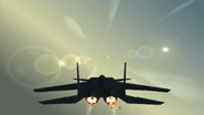 Eagle Plus external