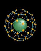 BUCKYBALL