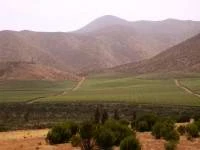 Baye'e l'Elki