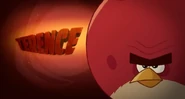 Terence