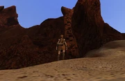 An adventurer prepares to climb to the Blessed Caves entrance.