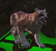 Vile Lynx