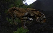 A tiger on White Sands Isle