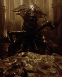 Genetic Queen