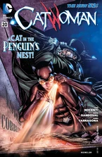 Catwoman Vol 4-20 Cover-1