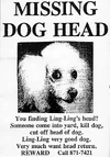 Missing Dog Head Notice