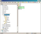 The root directory