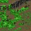 Tiberium moss with Tiberium flora growing on it, located near a harvestable Tiberium field, note the blossom tree.