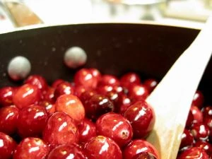 Image:454650 cranberries 2.jpg