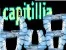 The capitillia hub