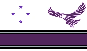 Image:Newsocflag.png