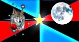 Image:NPO-rosewolfmoon-small.jpg