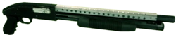 ShoGun%28DedRingtwoe%29%28df%29.png
