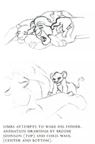 SimbaWakesMufasa